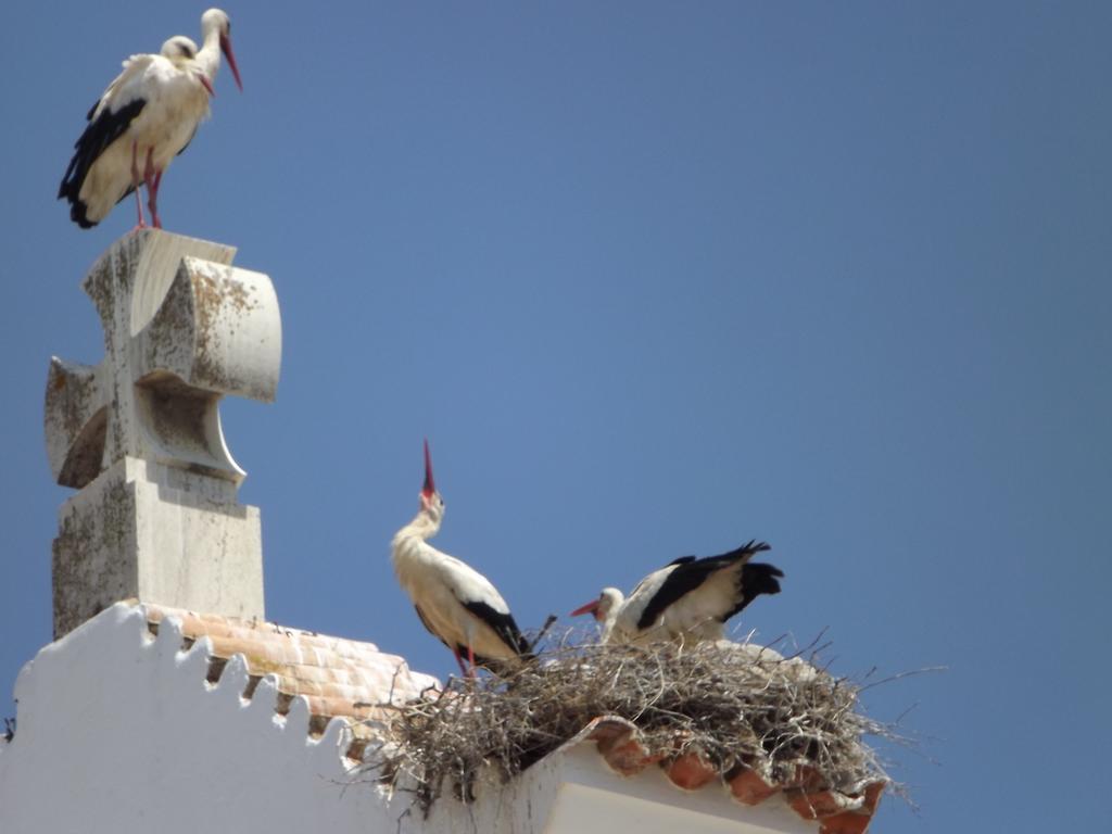 Olhão Entrecubos Guesthouse מראה חיצוני תמונה