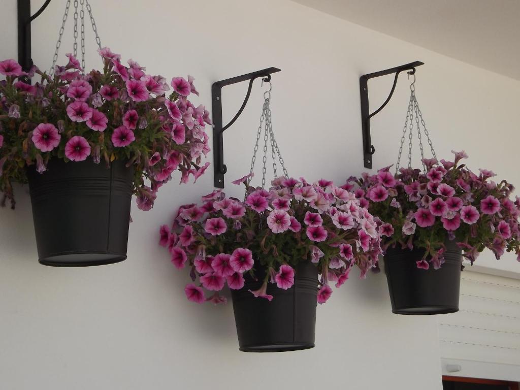 Olhão Entrecubos Guesthouse חדר תמונה
